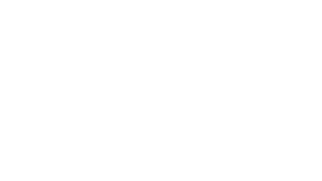 Noel & Sons Logo